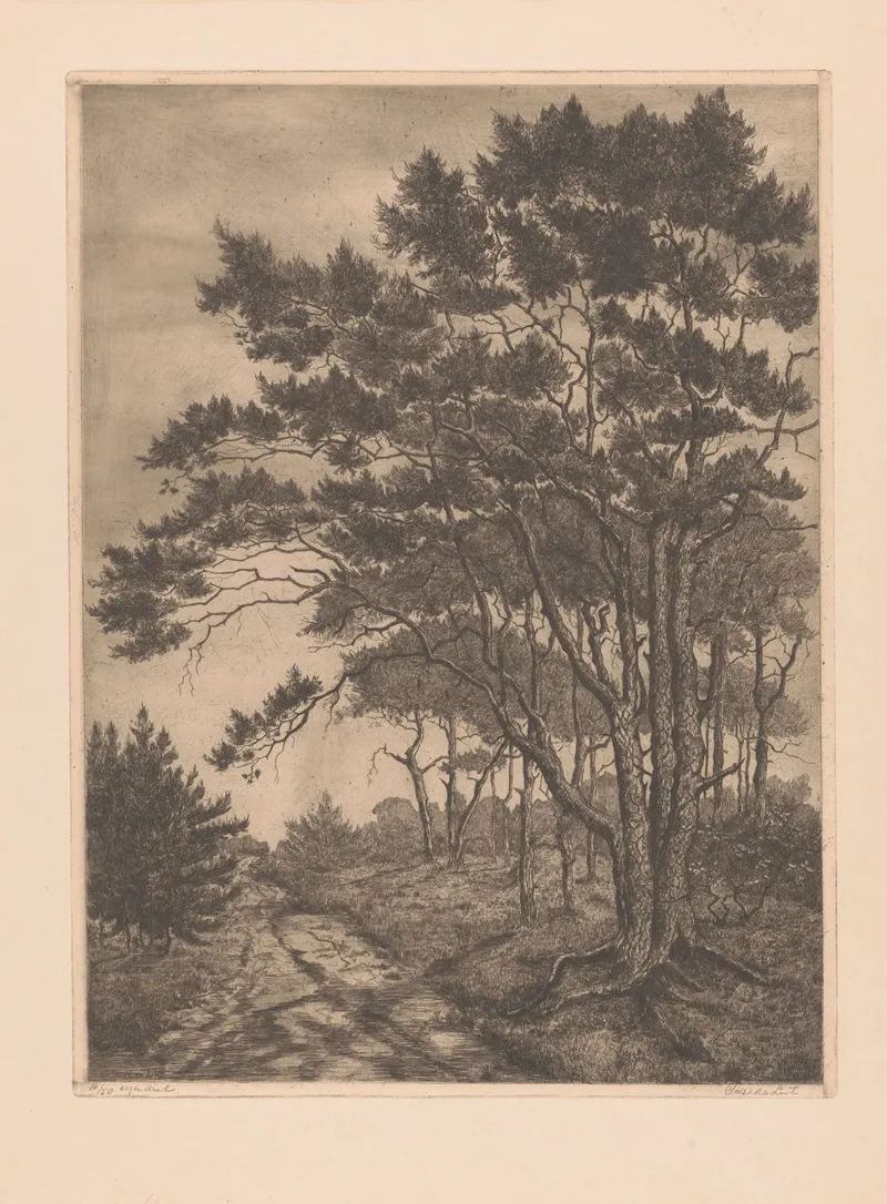 Landschap Met Landweg En Naaldbomen Wall Art by Suze de Lint - High-Resolution Digital Print