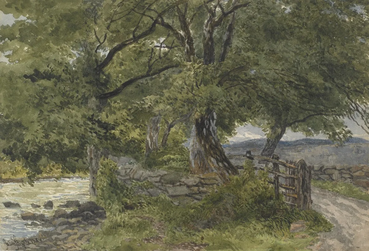 Lane By River Bettws Y Coed North Wales