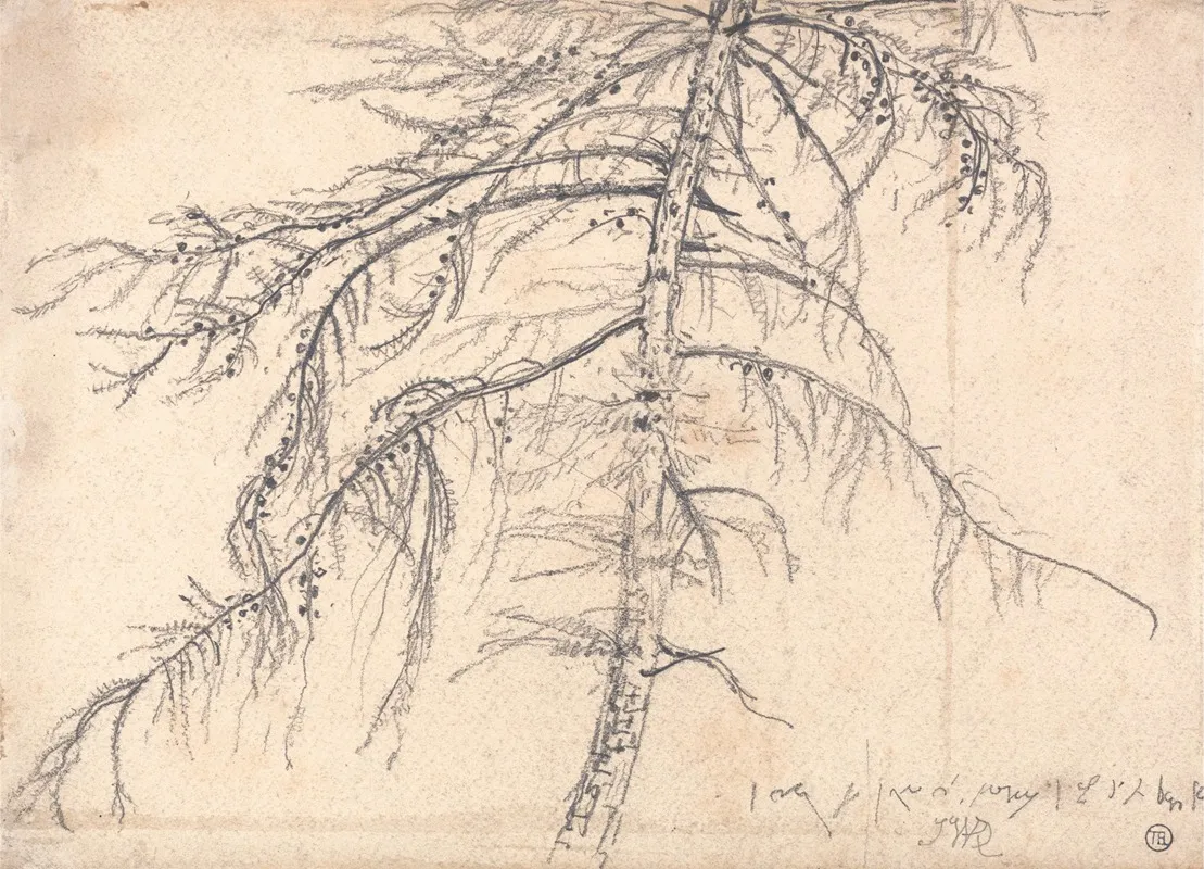 Larch Tree Wall Art by James Ward - High-Resolution Digital Print