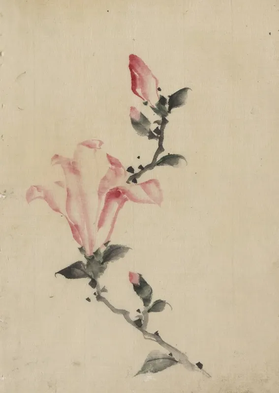 Large Pink Blossom On A Stem With Three Additional Buds Wall Art by Katsushika Hokusai - High-Resolution Digital Print