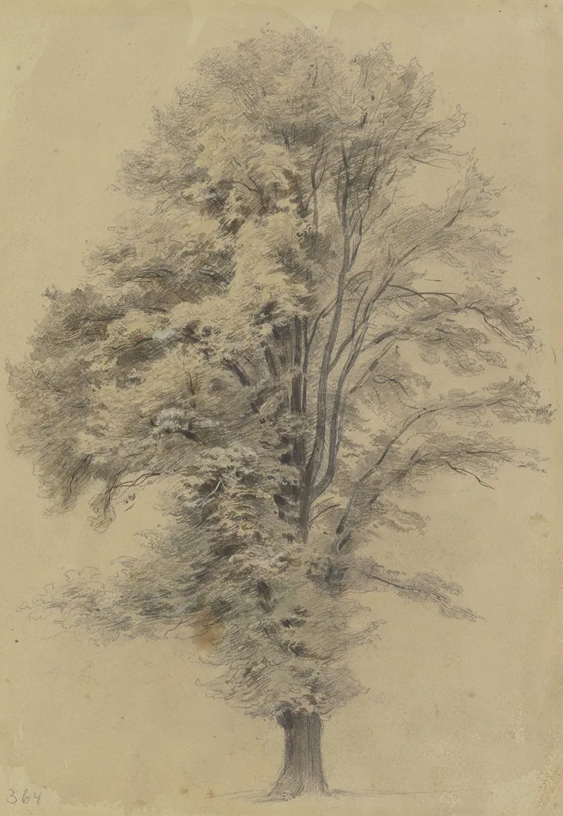 Large Tree