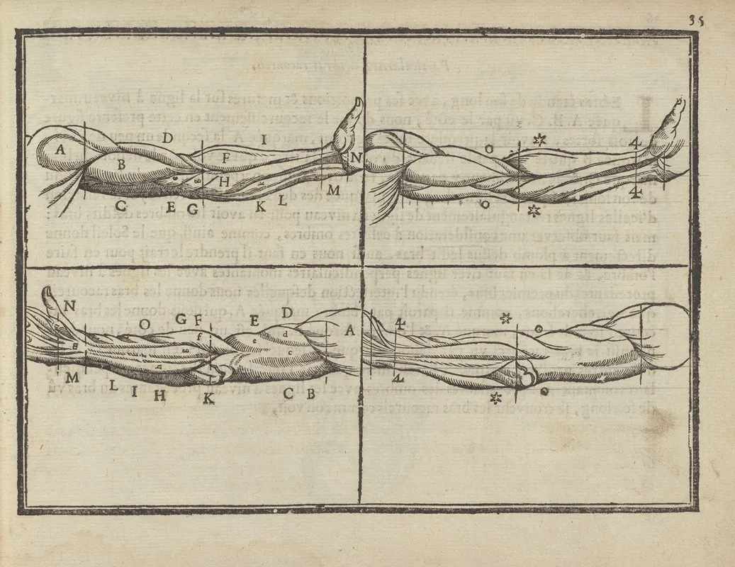 Lart De Dessiner De Maistre Jean Cousin Pl 15