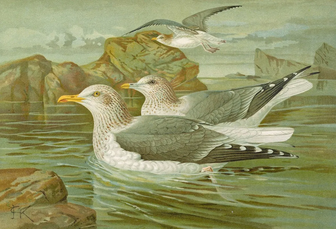 Larus Argentatus Brunn Wall Art by Johann Friedrich Naumann - High-Resolution Digital Print