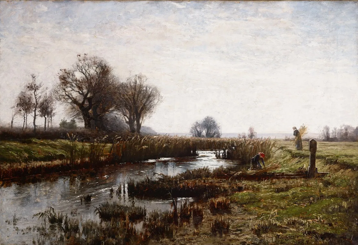 Late Afternoon Dachau Moor