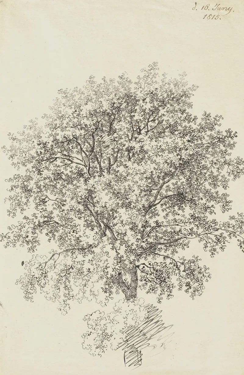 Laubbaum