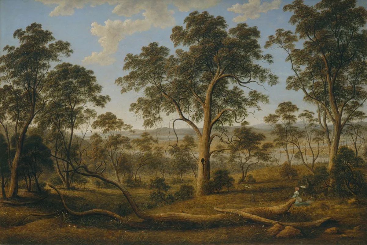 Launceston And The River Tamar