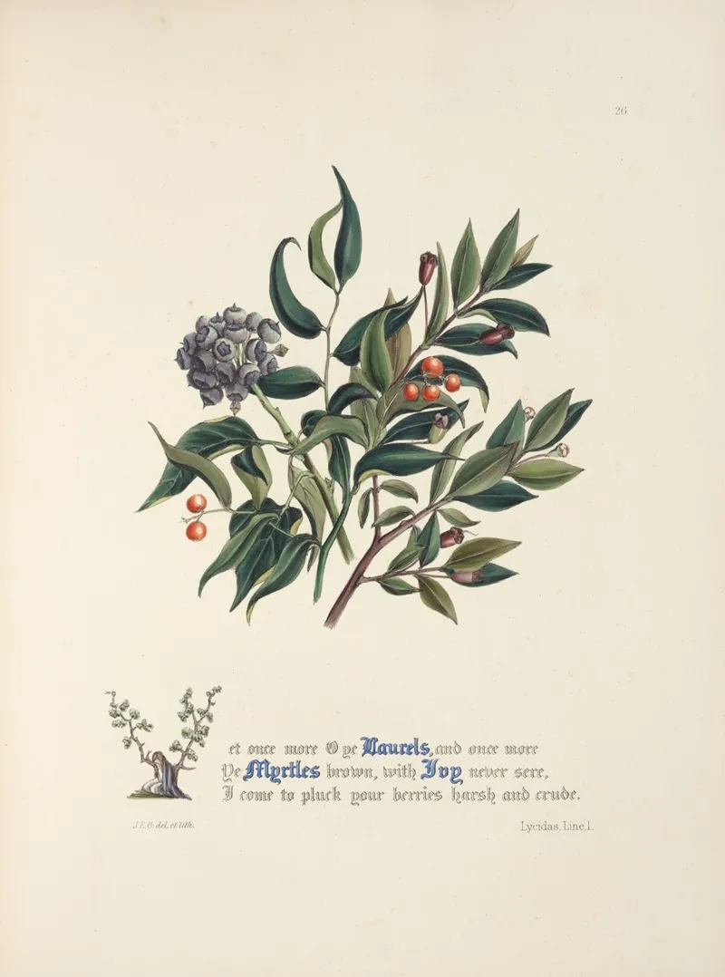 Laurels Myrtles And Ivy Wall Art by Jane Elizabeth Giraud - High-Resolution Digital Print