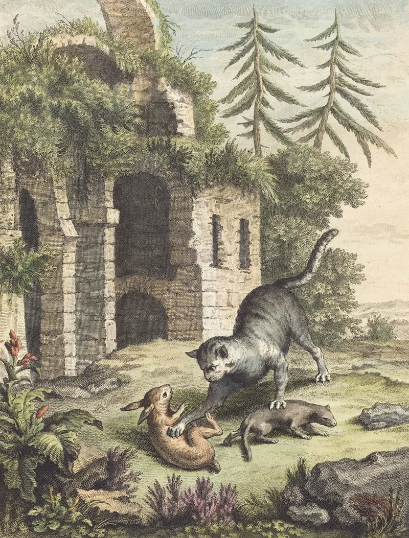 Le Chat La Balette Et Le Petit Lapin The Cat The Weasel And The Rabbit Wall Art by Martin Marvie - High-Resolution Digital Print