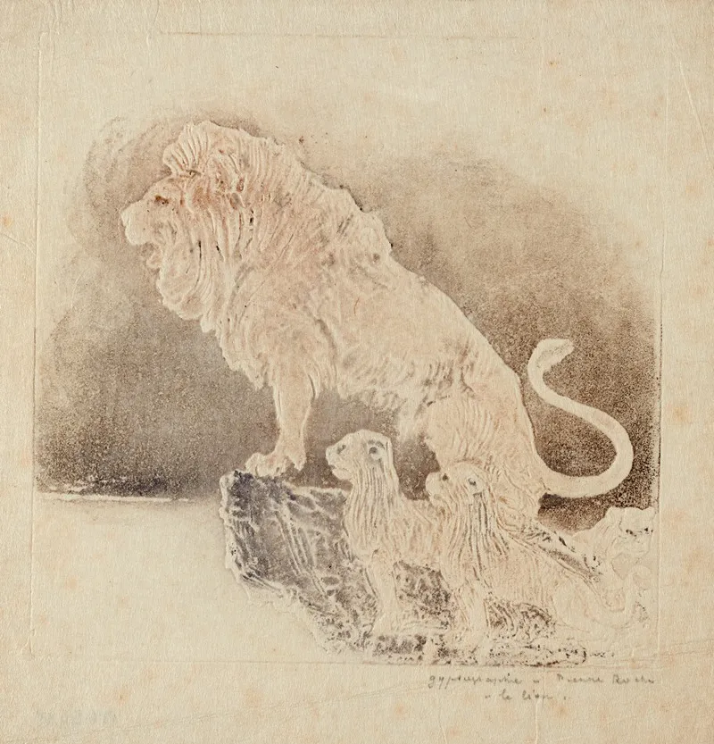 Le Lion 2