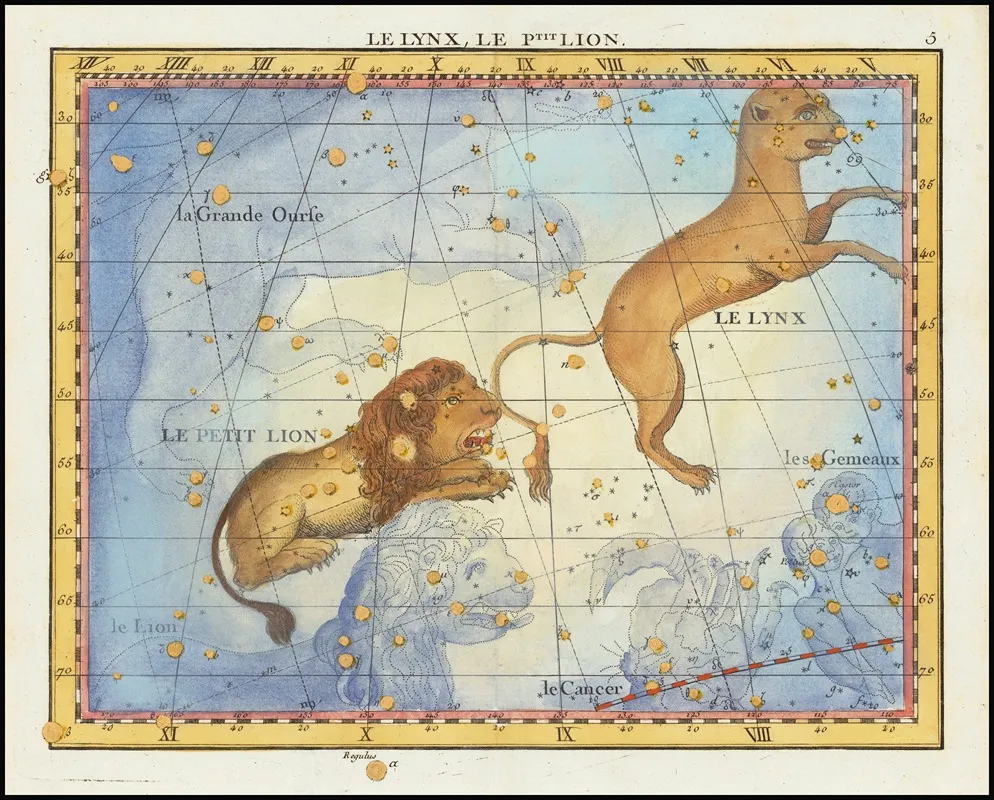 Le Lion Leo Le Lynx Wall Art by John Flamsteed - High-Resolution Digital Print