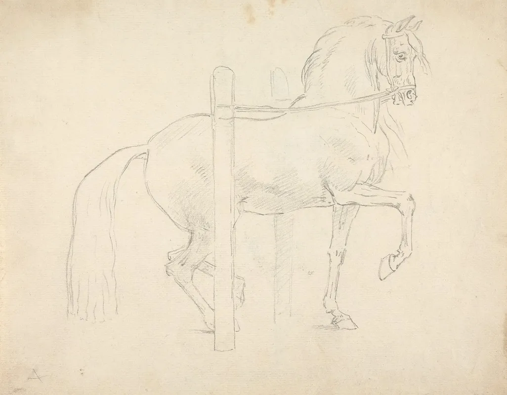 Le Piaffer Dressage Position