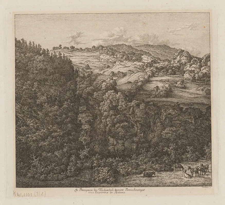 Le Precipice Du Toubenloch Derriere Boucheamps Aux Environs De Bienne Wall Art by Johann Joseph Hartmann - High-Resolution Digital Print