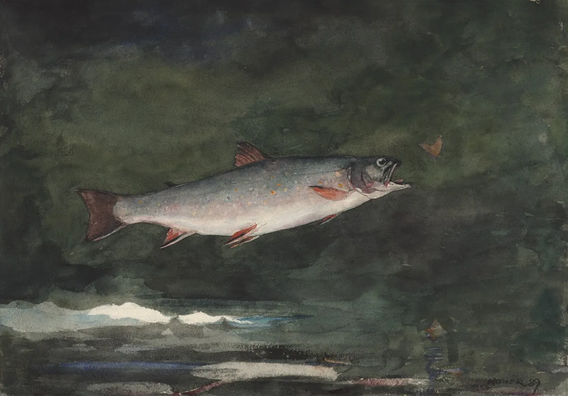 Leaping Trout Wall Art by Winslow Homer - High-Resolution Digital Print