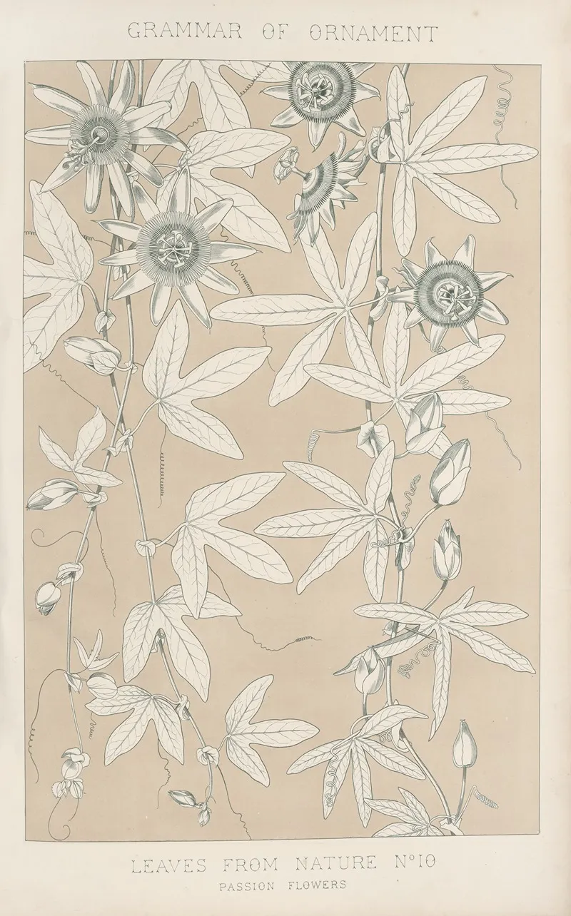 Leaves From Nature No 10 2