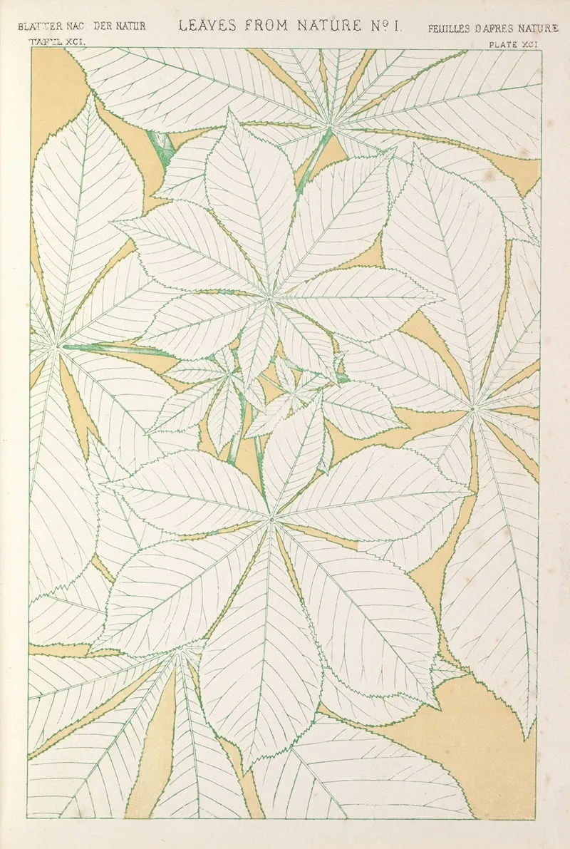 Leaves From Nature No 1