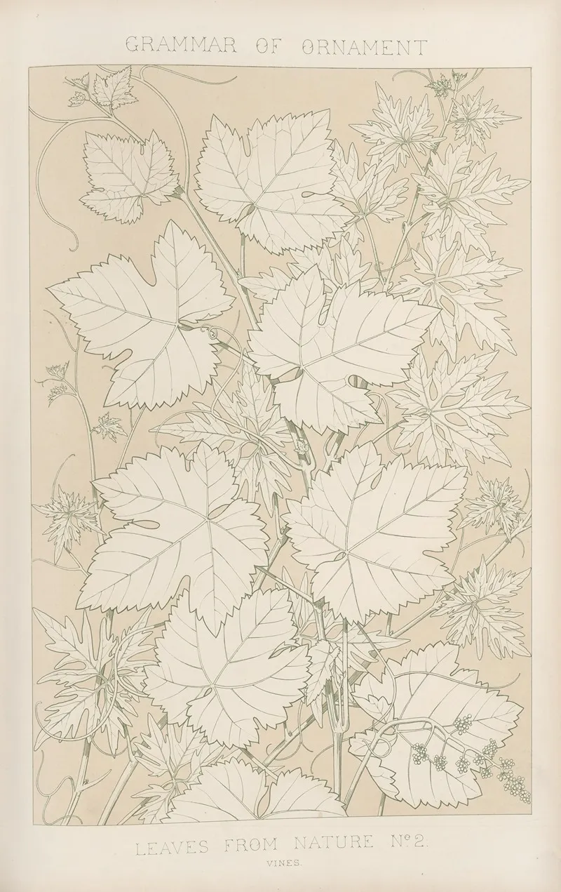 Leaves From Nature No 2 2