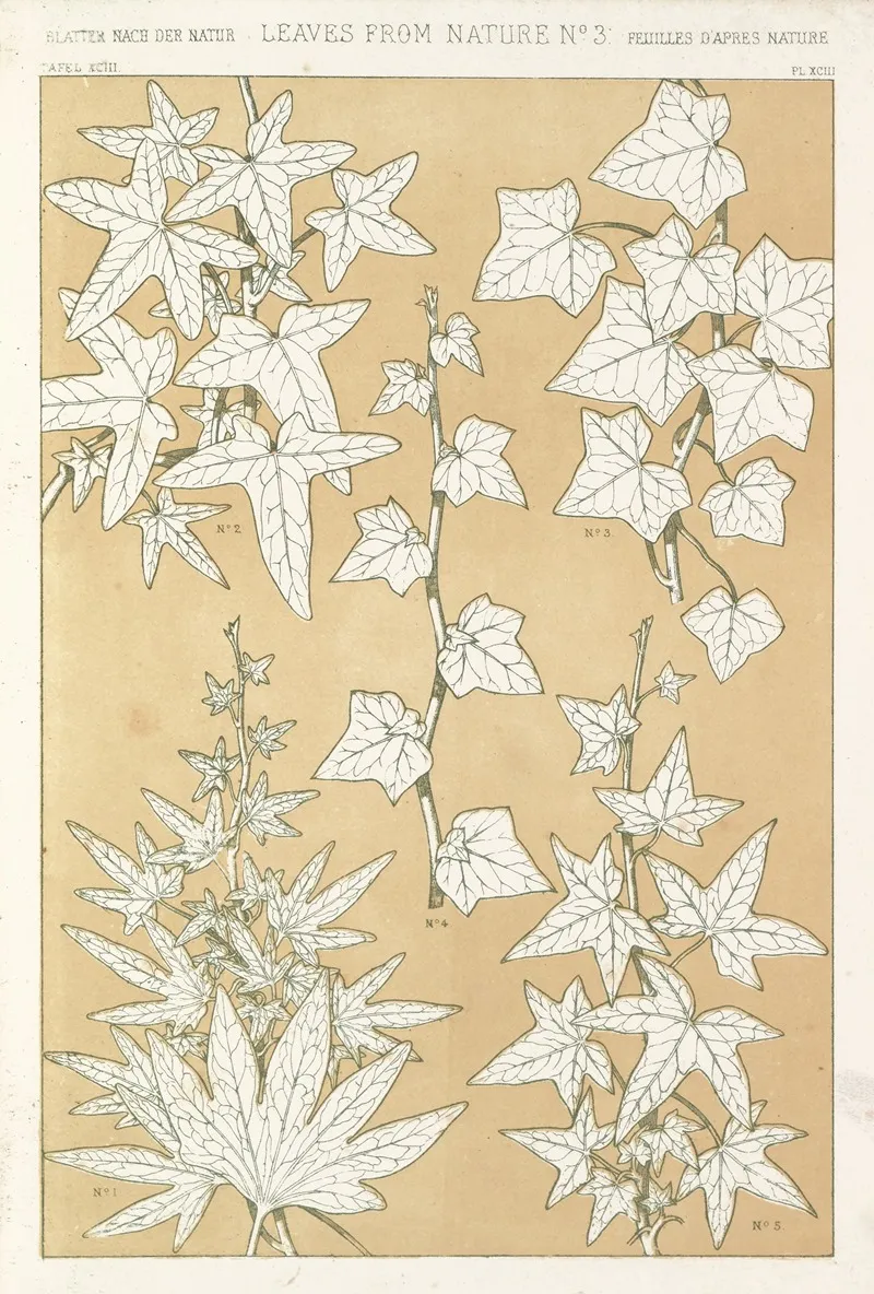 Leaves From Nature No 3