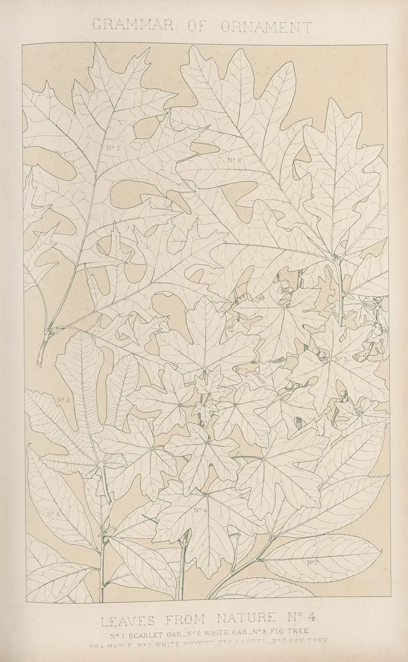 Leaves From Nature No 4 2