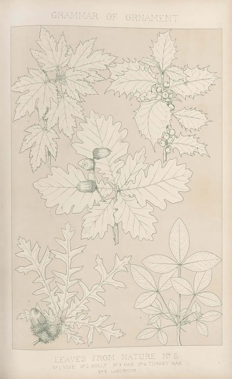 Leaves From Nature No 5 2
