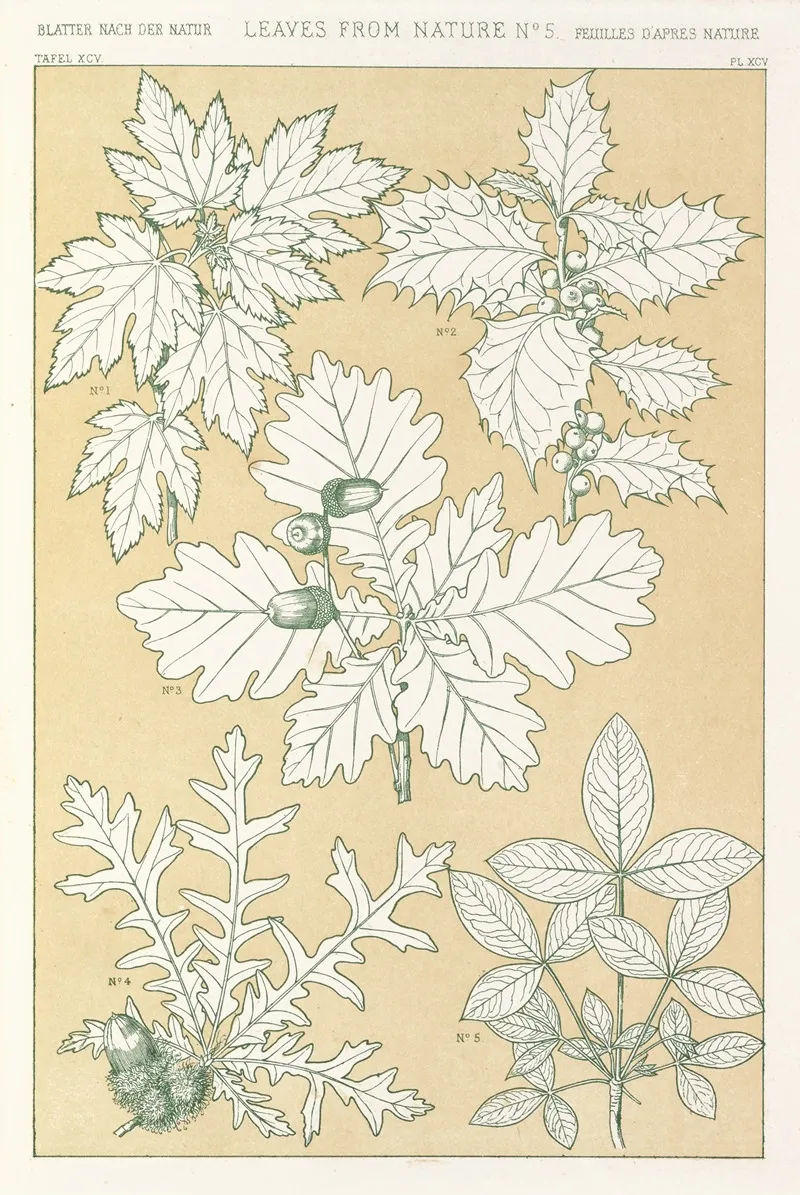Leaves From Nature No 5