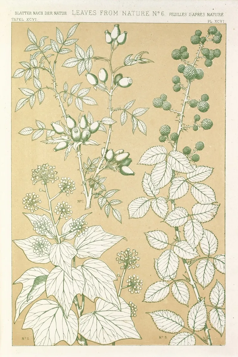 Leaves From Nature No 6