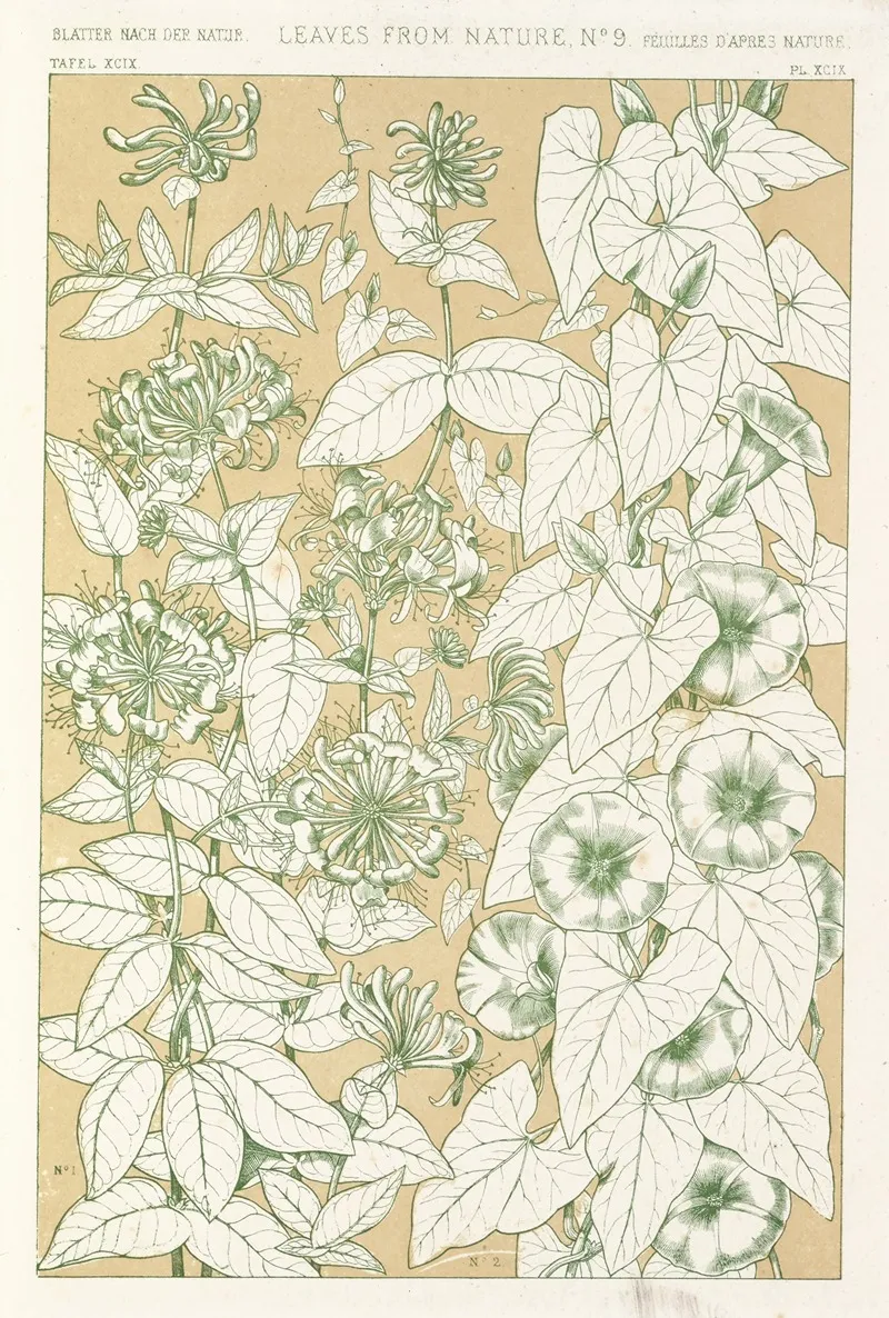 Leaves From Nature No 9