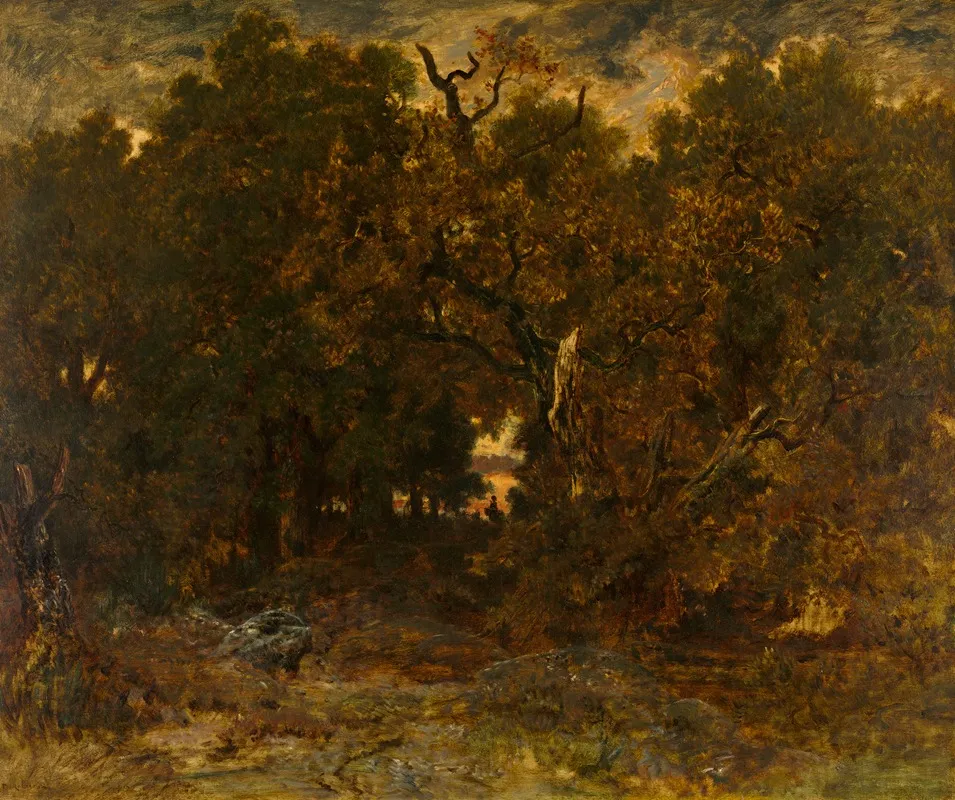 Leaving The Forest Fontainebleau Setting Sun
