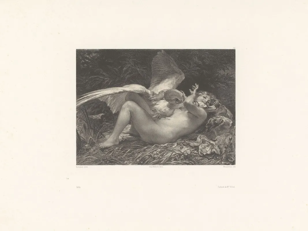Leda 11