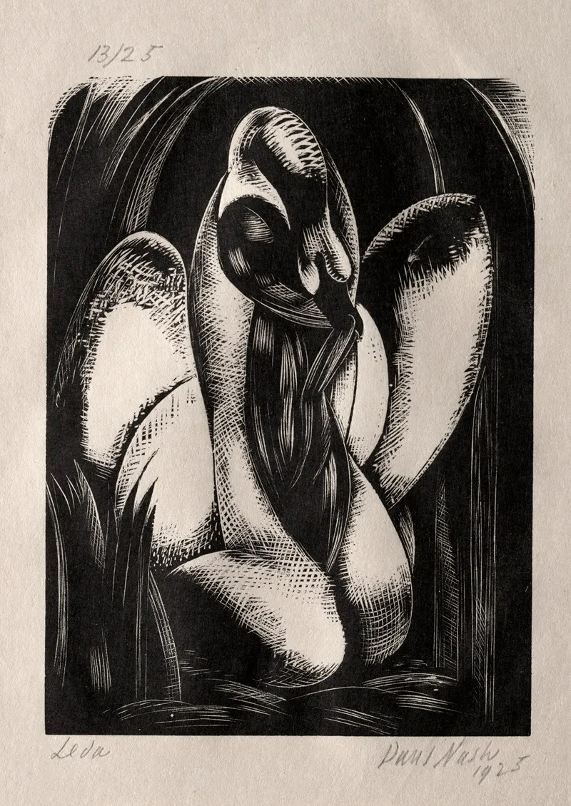 Leda 4