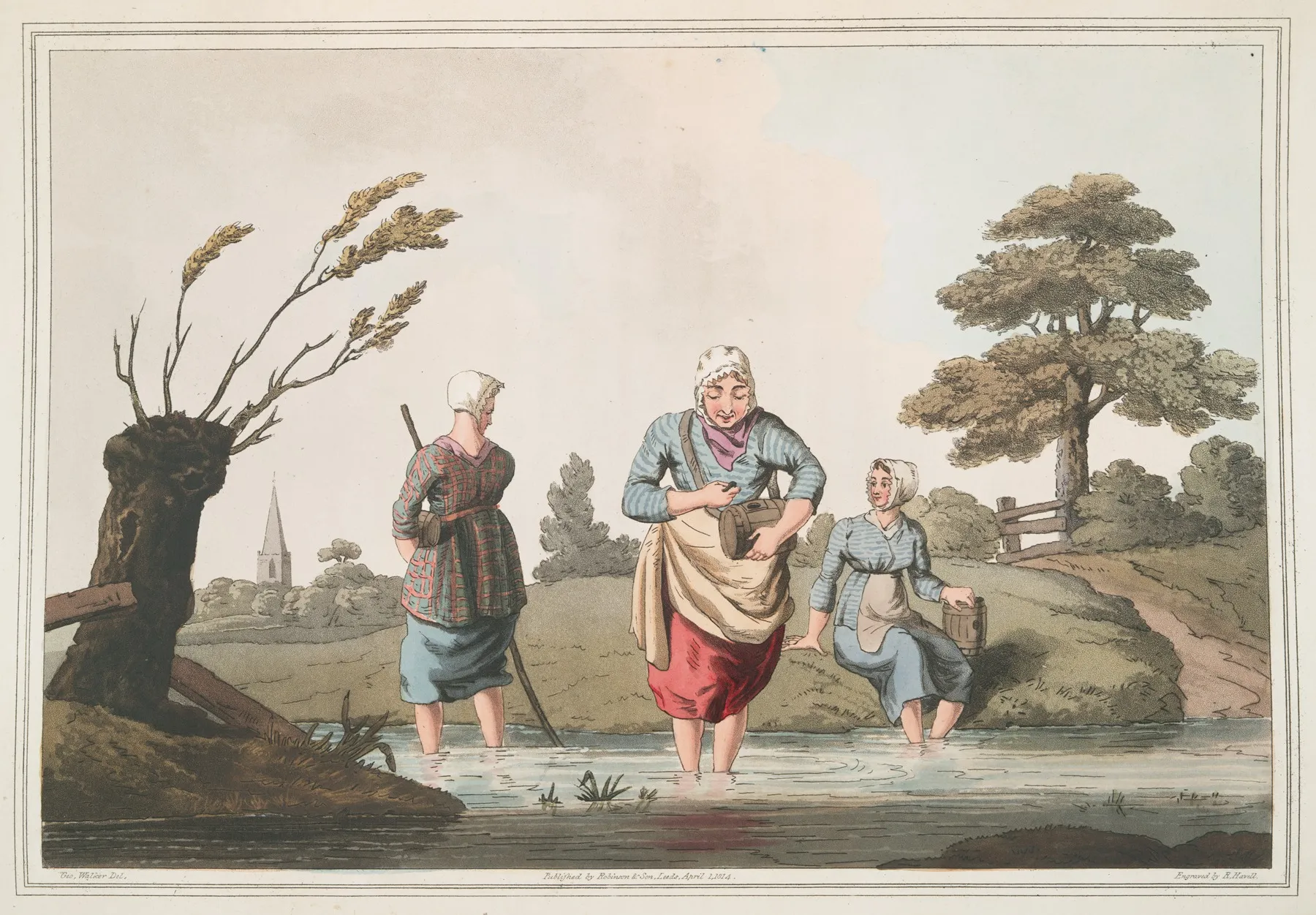 Leech Finders Plate 35 Wall Art by George Walker - High-Resolution Digital Print