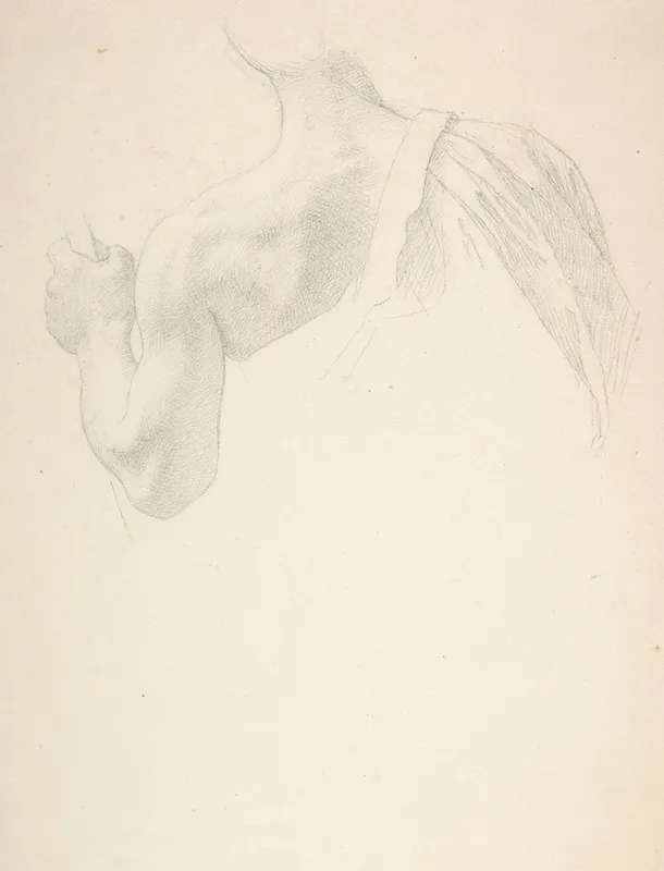 Left Arm And Shoulders Of A Man Seen From The Back