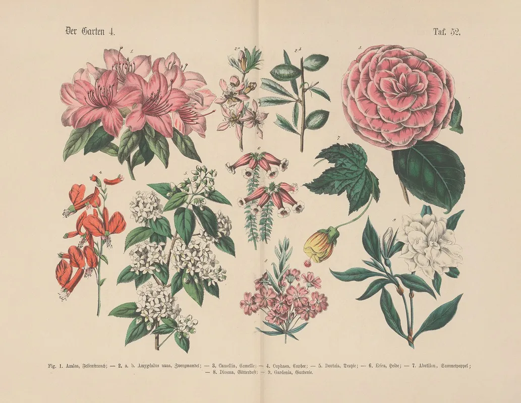 Lehrbuch Der Praktischen Pflanzenkunde In Wort Und Bild Pl 52 Wall Art by Carl Hoffmann - High-Resolution Digital Print