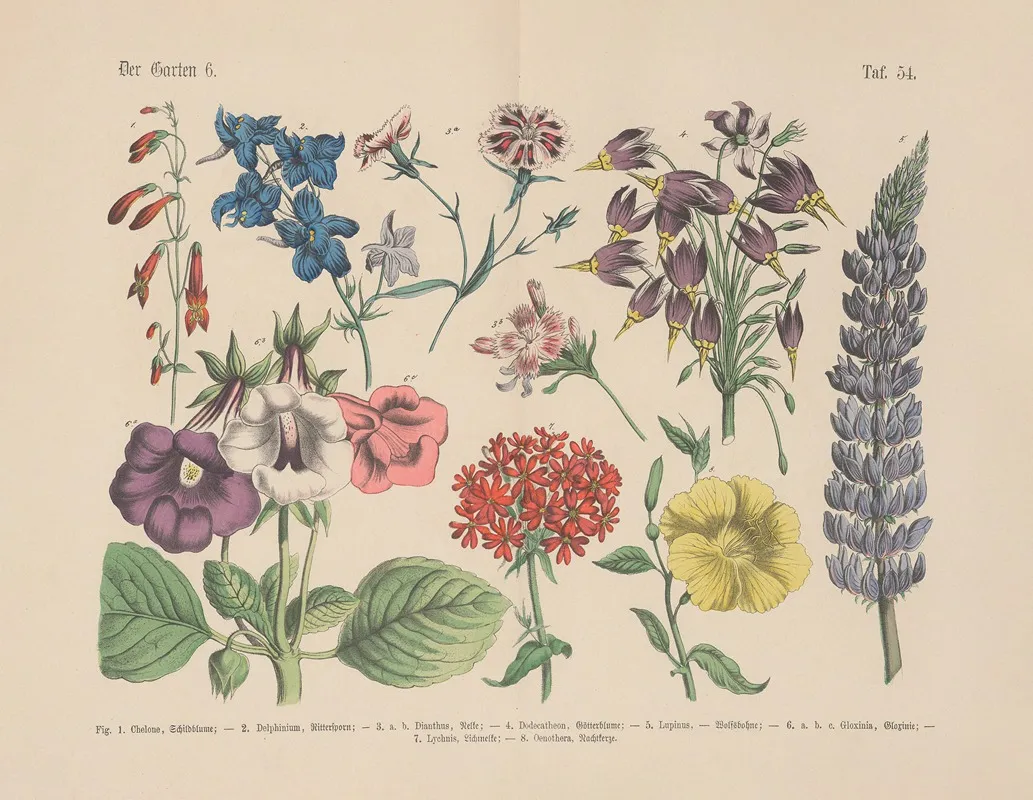Lehrbuch Der Praktischen Pflanzenkunde In Wort Und Bild Pl 54 Wall Art by Carl Hoffmann - High-Resolution Digital Print