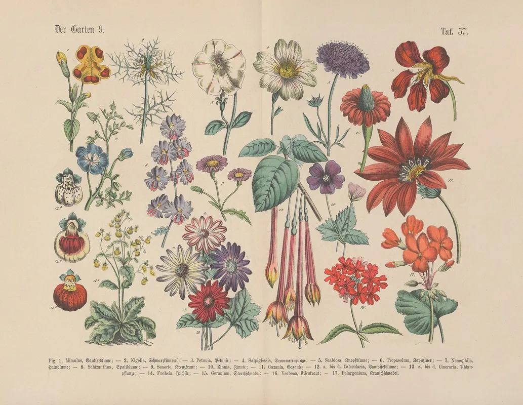 Lehrbuch Der Praktischen Pflanzenkunde In Wort Und Bild Pl 57 Wall Art by Carl Hoffmann - High-Resolution Digital Print