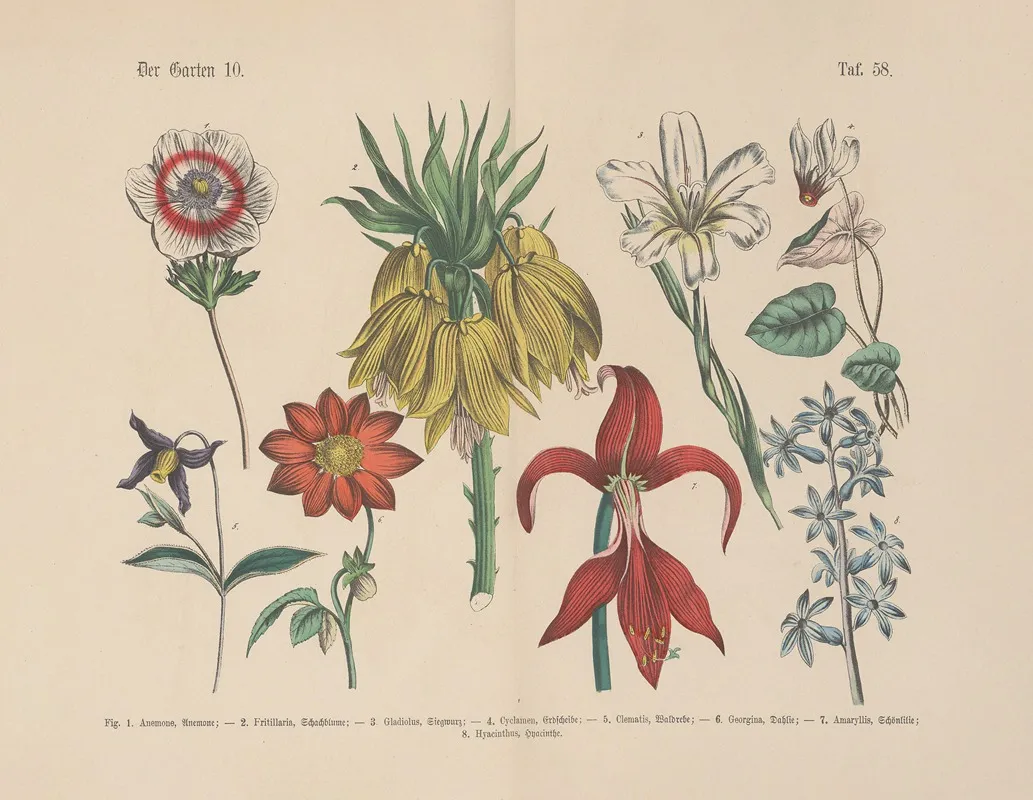 Lehrbuch Der Praktischen Pflanzenkunde In Wort Und Bild Pl 58 Wall Art by Carl Hoffmann - High-Resolution Digital Print