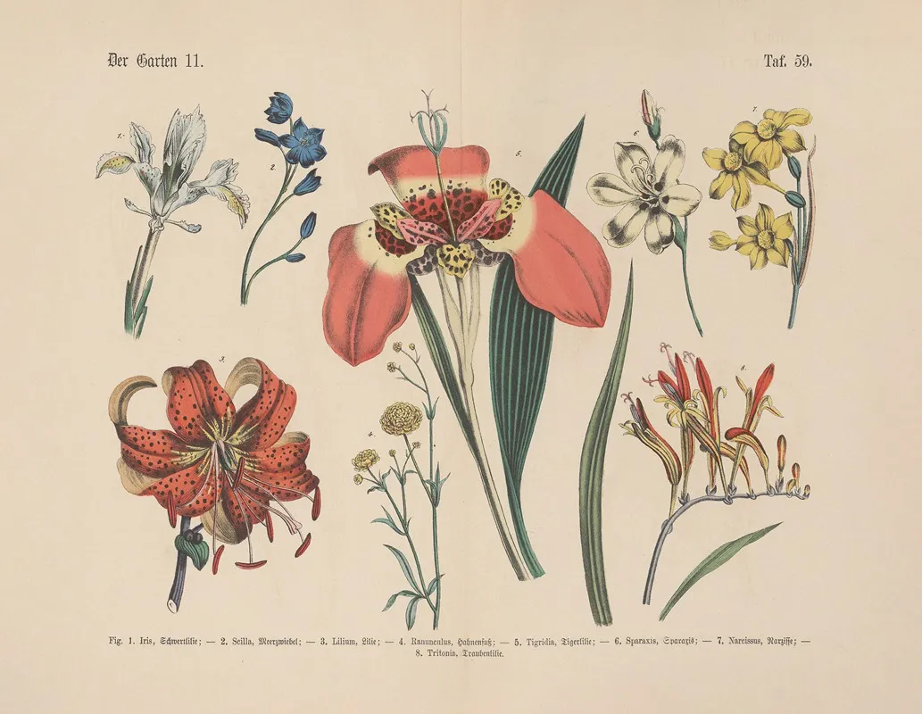 Lehrbuch Der Praktischen Pflanzenkunde In Wort Und Bild Pl 59 Wall Art by Carl Hoffmann - High-Resolution Digital Print