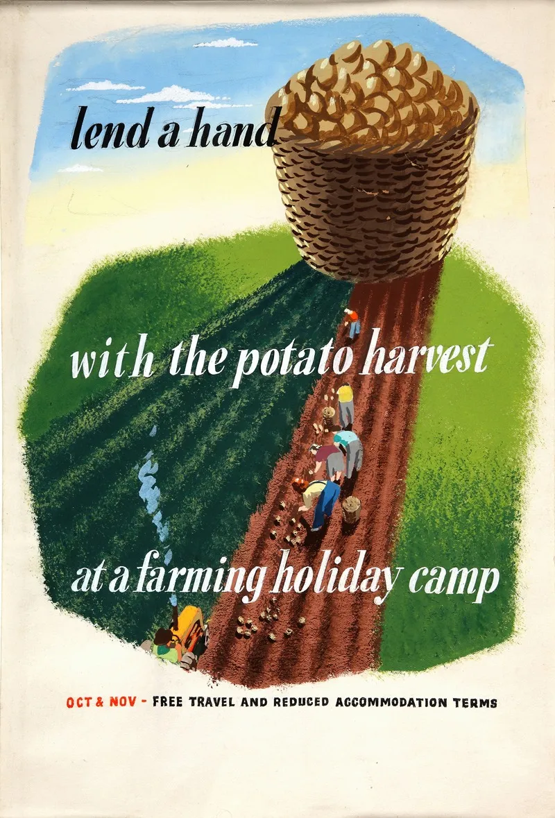 Lend A Hand With The Potato Harvest At A Farming Holiday Camp Wall Art by Eileen Evans - High-Resolution Digital Print