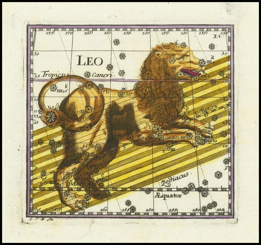 Leo 2 Wall Art by Corbinian Thomas - High-Resolution Digital Print