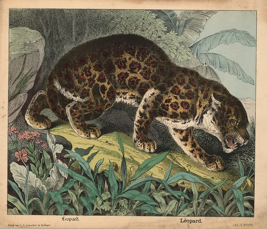 Leopard 2