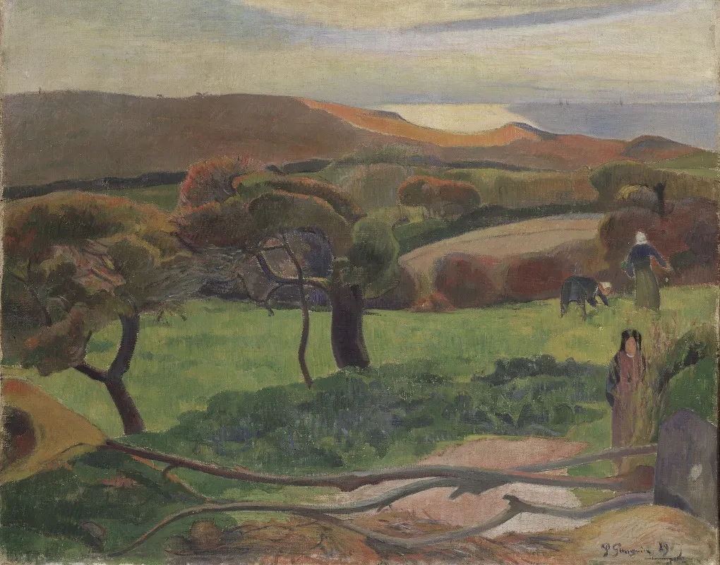 Les Champs Au Bord De La Mer