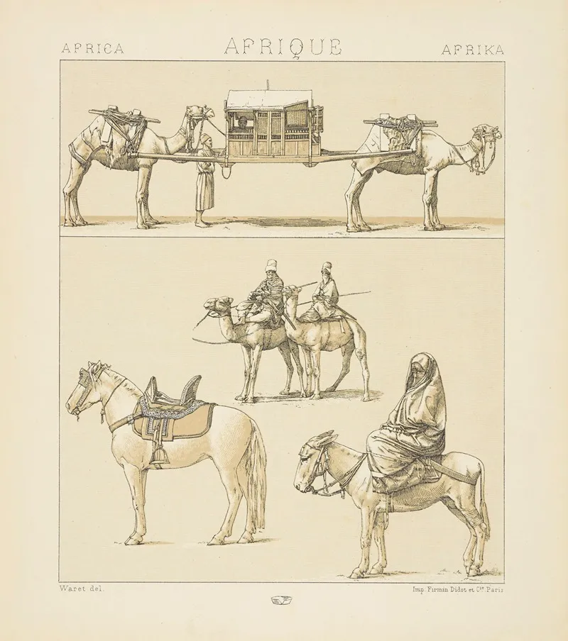 Les Montures Et Les Animamaux De Transport Le Touareg Une Femme Egyptienne En Costume De Ville