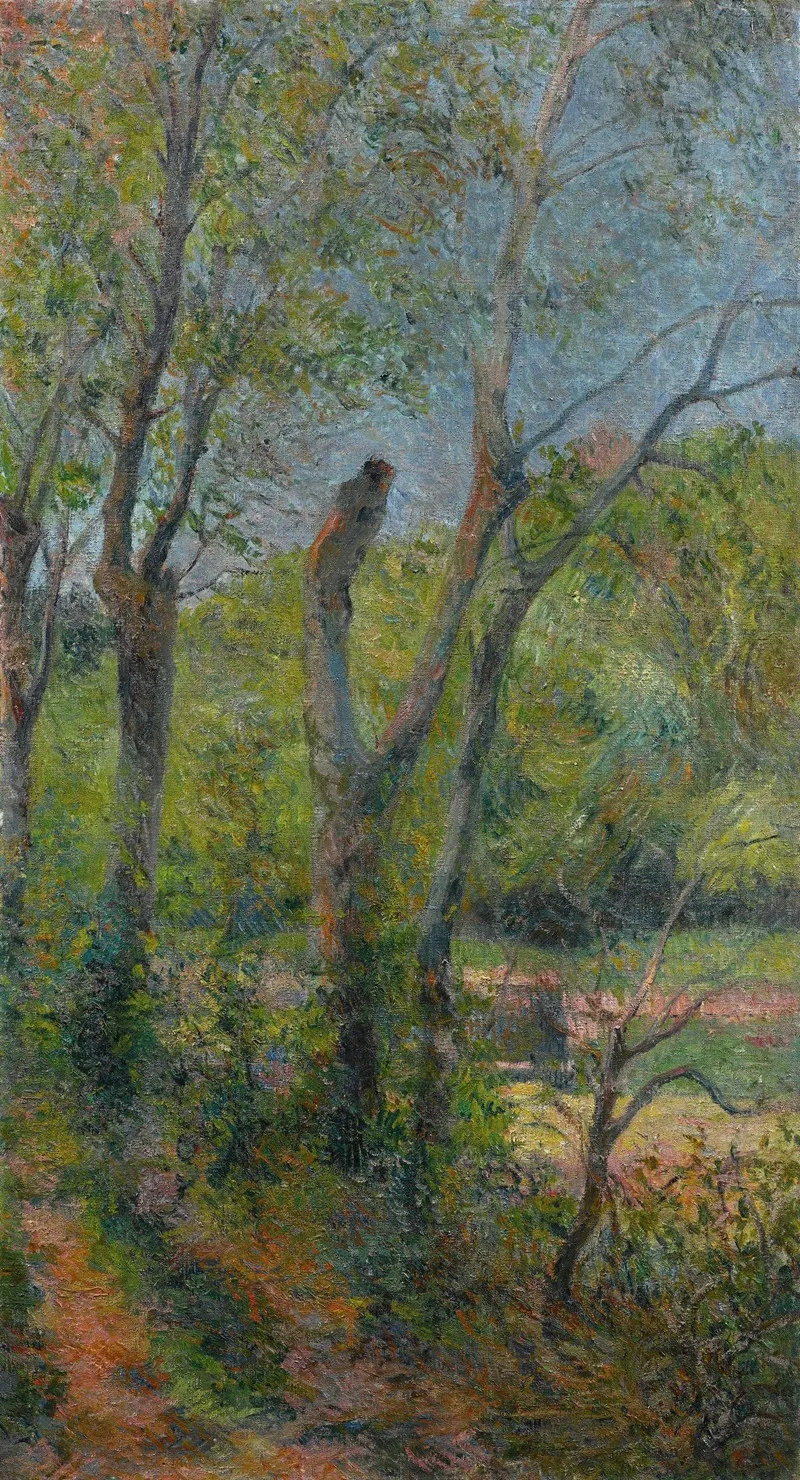 Les Saules