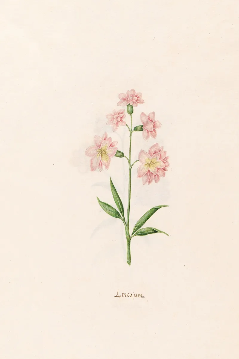 Leucojum 4 Wall Art by Magdelena Rosina Funck - High-Resolution Digital Print