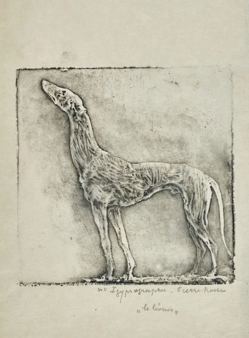 Levrier