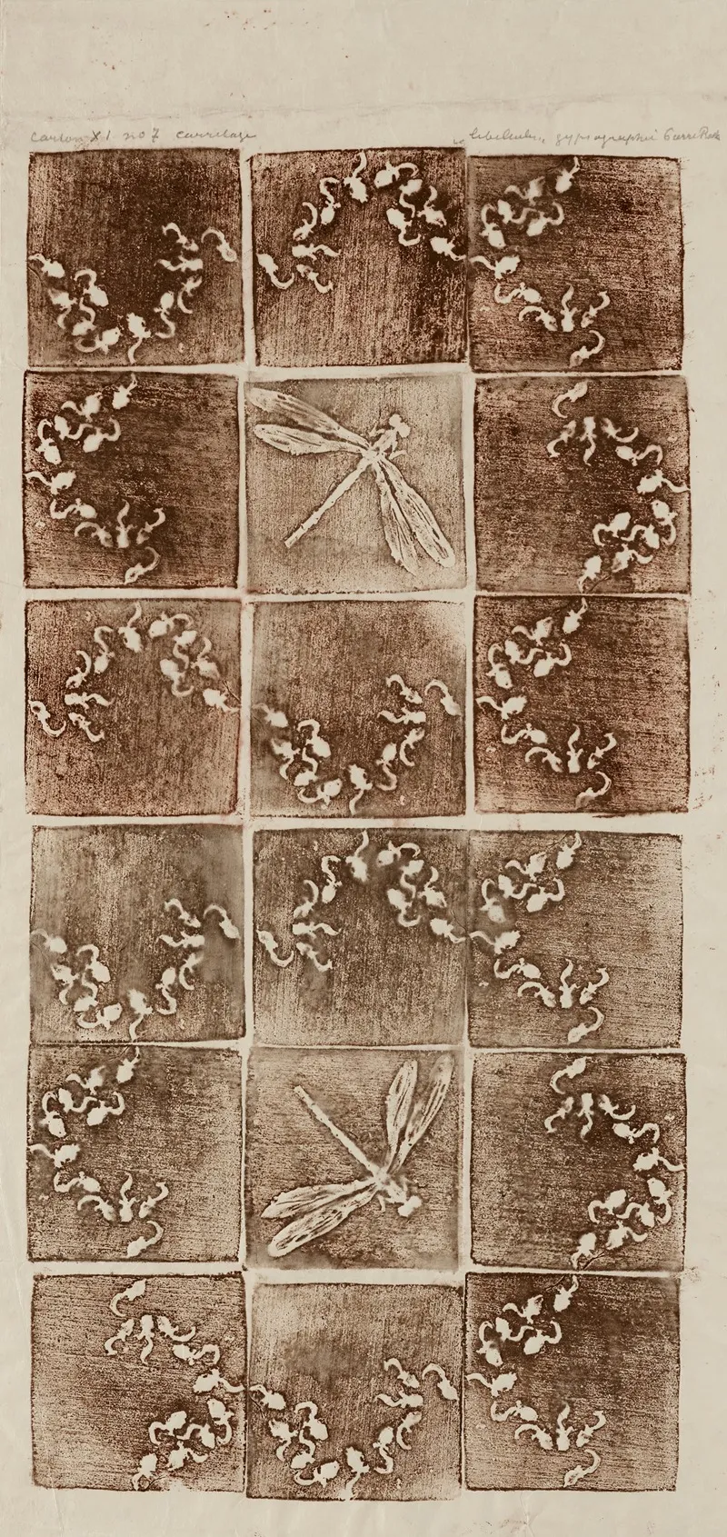 Libellules Et Tetards Carrelage