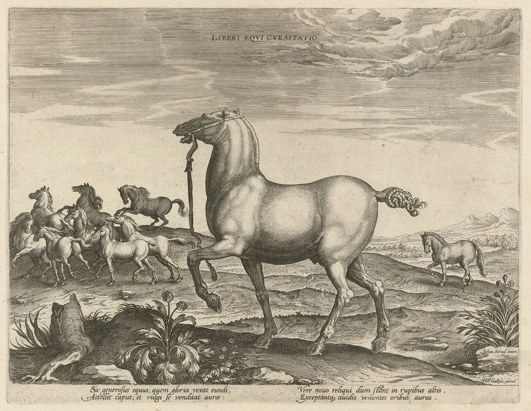 Liberi Eqvi Cvrsitatio Wall Art by Jan Collaert the Elder - High-Resolution Digital Print