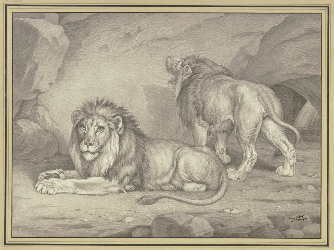 Liegender Lowe Von Der Seite Nach Links Und Stehender Lowe Fast Von Hinten Gesehen Wall Art by Johann Wenzel Peter - High-Resolution Digital Print