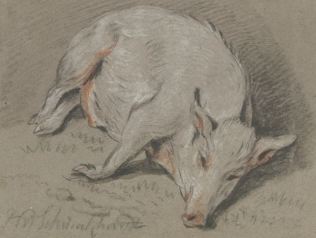 Liegendes Schwein Wall Art by Hendrik Willem Schweickhardt - High-Resolution Digital Print