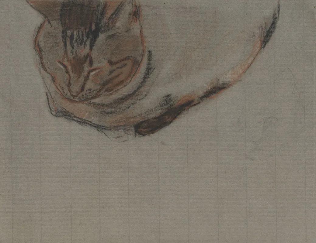 Liggende Kat 3