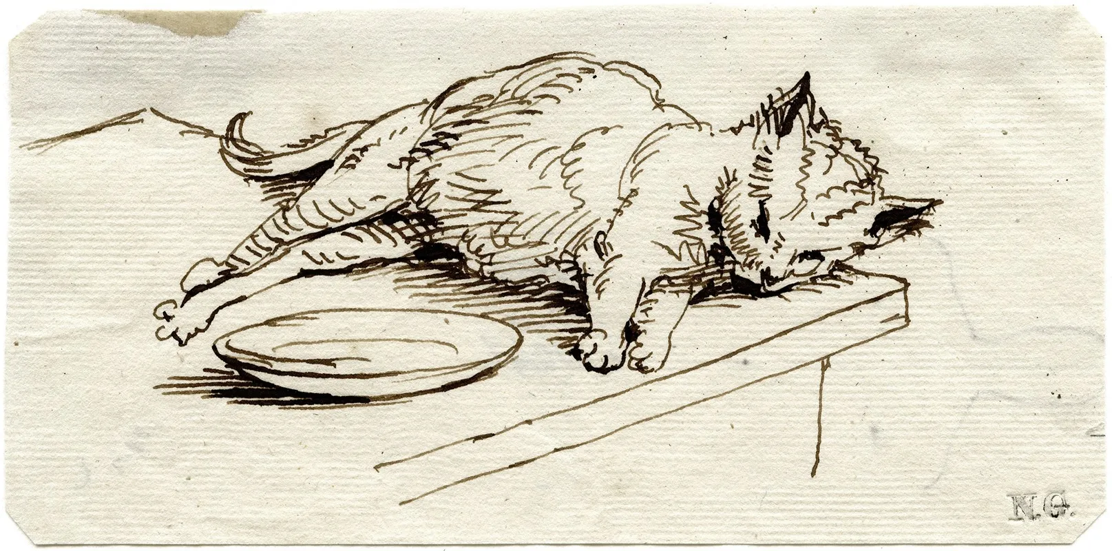 Liggende Kat Bij Bord Op Een Tafelblad